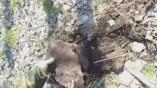 Копаем  и  копим  металл....под  наблюдением...