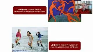 Разум или чувства