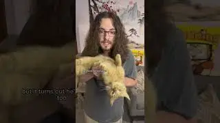 I passed up on a RARE cat for this thing? 
