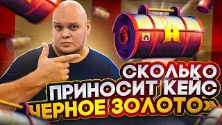 Сколько можно заработать с кейса? 