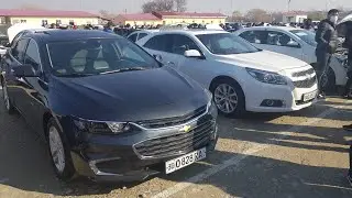 МАЛИБУ ВА КАПТИВАЛАР НАРХЛАРИ...  САМАРКАНД МОШИНА БОЗОРИ НАРХЛАРИ. . .