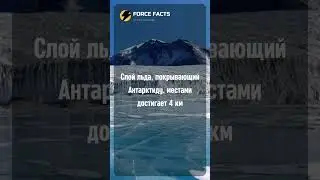 А вы знали?😱 
