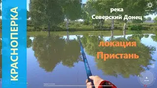 Русская рыбалка 4 - река Северский Донец - Красноперка с пристани