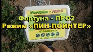 Фортуна- ПРО 2   Режим пин-поинтер