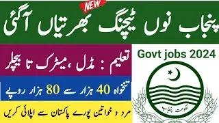Punjab Daanish School Jobs 2024 – Latest Government Jobs in Pakistan – Jobs in Pakistan today 2024