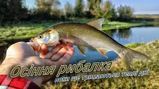 Береговий спінінг, або як я розловив нові снасті.