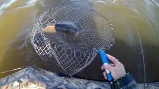 Щука 5500 на живца