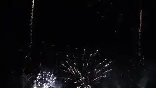 Маристелла водный