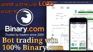 Binary 100% Win Bot Trading