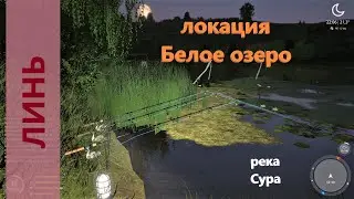 Русская рыбалка 4 - река Сура - Линь в озере