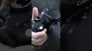 Which Cameras Are They Compatible With? Canon EF 50mm f1.8 vs Canon EF-S 18-55mm
