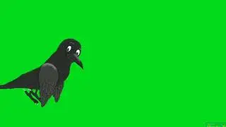 flying crow green screen//cartoon crow green screen//No Copyright Free to use. 
