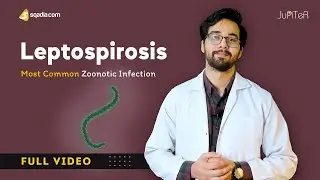 Leptospirosis Pathophysiology and Treatment | Microbiology Video Lecture