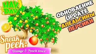 Hay Day ОБНОВЛЕНИЕ АПЕЛЬСИН И ПЕРСИК update Orange & Peach Trees