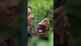 Une technique vidéo à essayer ! 