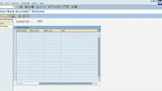 HOUSE BANK & CREATION OF CHECK LOTS - 31