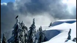 Олег Митяев ☆ Пройдёт зима