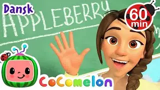 Lærersang | Børnesange for Babyer | CoComelon Dansk