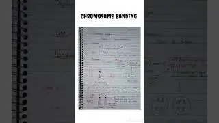 Chromosome Banding | Genetics | Life science