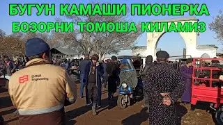 БУГУНГИ НАРХЛАР! КАШКАДАРЁ КАМАШИ ПИОНЕРКА МОЛ БОЗОРИ 19 НОЯБРЬ 2021 QAMASHI PIONERKA MOL BOZORI