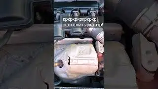 Что стучит гремит тарахтит в моторе EP6 Ситроен Пежо? Ответ в конце видео! 