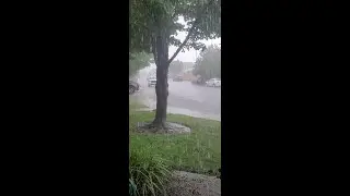 Viewer Video | Thunderstorm moves over Yuba City