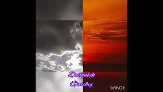 Allox jonimizni oladi bir kun. Dostonbek G‘aribiy