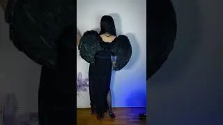 Black Wings 