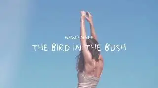 Bird In The Bush - Teaser | Pauline Scanlon