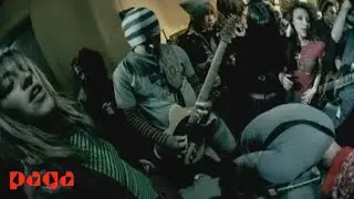 Athena - Köpek