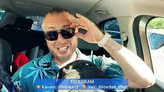Почему все-таки Геленджик, а не Сочи! Пытаемся найти чувства. Еда для животных #800