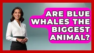 Are Blue Whales The Biggest Animal? - The Wild Life Explorer