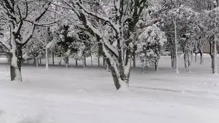 Ейск завалило снегом. Снегопад в Ейске. Ейск погода зимой.