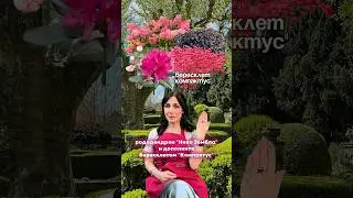 ДАРИМ ГАЙД ПО УХОДУ ЗА ТУЯМИ НА 10 ЛИСТАХ 👉ссылка в описании канала 