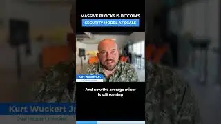 BITCOIN'S SECURITY MODEL AT SCALE