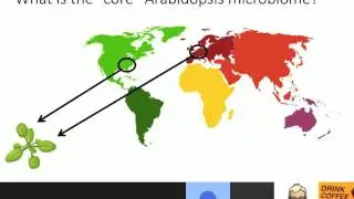 Sarah Lebeis: Exercising influence: factors that shape plant microbiomes