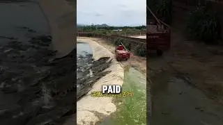 This man get paid 1000 dollar for feeding Crcodile 😳 