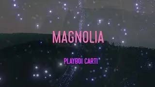 Playboi Carti - Magnolia Lyrics | In New York I Milly Rock, Hide It In My Sock