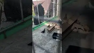 Хобби 👍