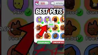I Got STRONGEST PETS and BEAT Roblox Text A Friend..