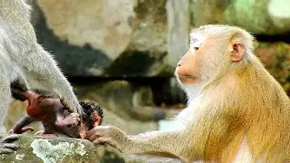 CATCH BACK ... JANE NOT ALLOW NEWBORN GO PLAY...