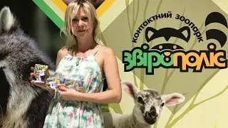 Контактный зоопарк «Зверополис» Контактний зоопарк «Звірополіс»