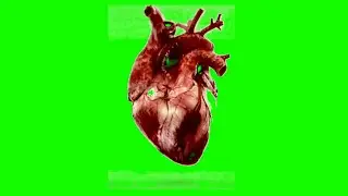 green screen video // Dhadakte Dil Ka Green screen video //