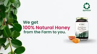Raw Honey Production | Direct From Honey Farm [Ayurzon]