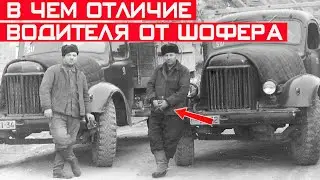 Чем Водитель отличается от Шофёра? Секрет раскрыт!