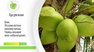 Будем здоровы! Кокос