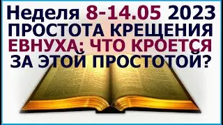 Неделя 8 - 14 мая 2023 г.: о том как подготовиться к крещению. Свидетели Иеговы