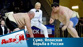 Сумо. Японская борьба в России | Доктор И