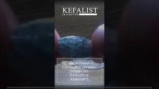 Самоделки для рыбалки. Обновляем спинер - рыбалка на хищника