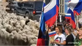 "За что воюем?" В. Маяковский. Читает Шевченко